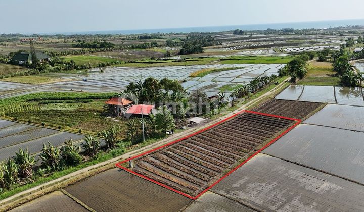 Tanah 9are Tibubiu Kerambitan Tabanan Dkt Pantai Pasut Kelating