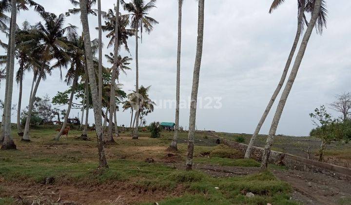 Land in the Mendoyo Filtering Coastal Area, Denpasar, Gilimanuk 2