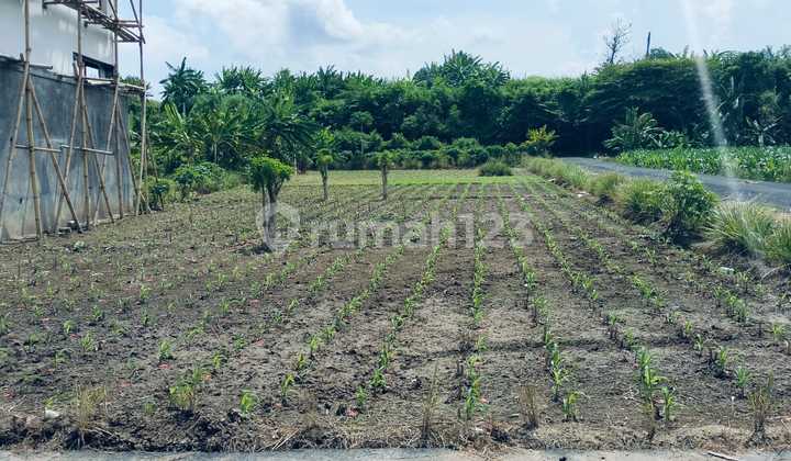 Tanah 2 Are Padang Galak Kesiman Dkt Sanur Pantai Matahari Terbit