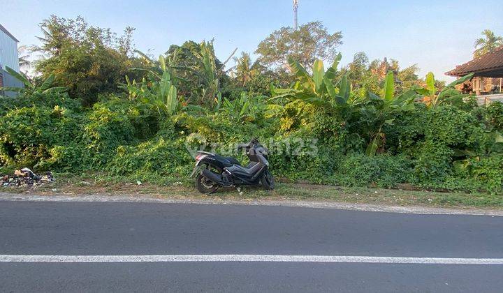 Tanah Luas Kecil Di Utama Kedungu Pangkung Tibah Kediri Tabanan  1