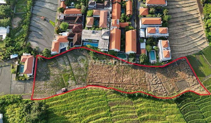Tanah Sewa Di Batu Bolong Canggu View Sawah Dekat Ke Pantai  1