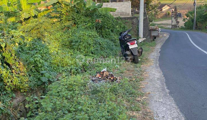 Small Large Land in Utama Kedungu Pangkung Tibah Kediri Tabanan  2