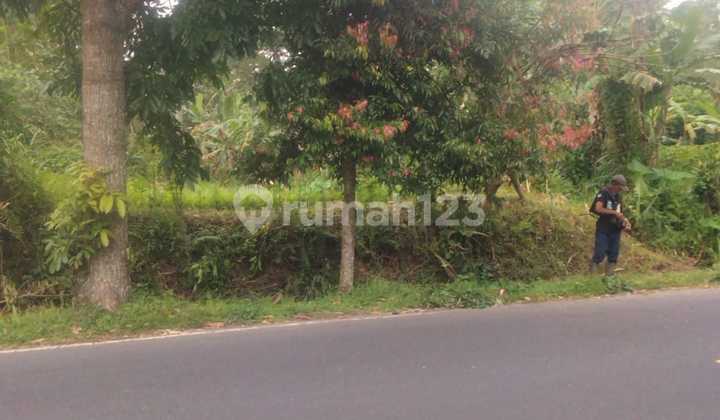 Tanah Murah di Luwus Baturiti Tabanan Dkt Joger Cafe Tahu Bedugul