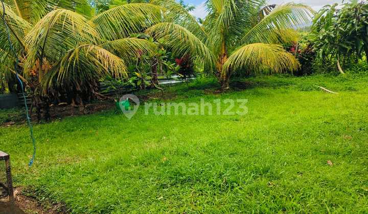 Tanah Murah Pinggir Jalan di Sukawati Selemadeg Tabanan # Megati