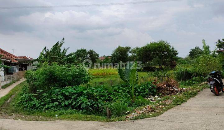 Tanah Sukamahi Cikarang Pusat Bekasi Luas 850 Rp 1,3 Jt Meter SHM 1