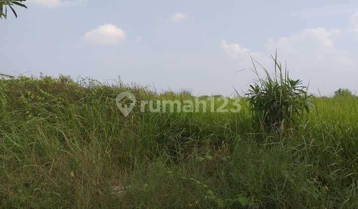 Tanah Industri Deltamas Cikarang Kawasan Grenland Luas 1.1 Ha Rp. 3.5 Jt m