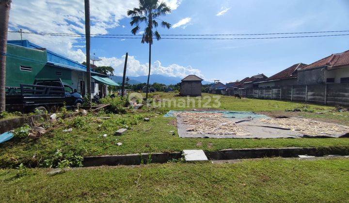 Super Cheap Plot Land Promo On Jl Singaraja Gilimanuk Gerokgak Buleleng Bali 2