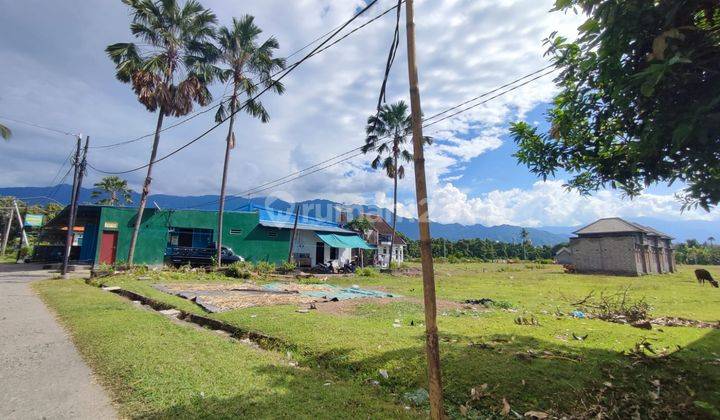 Promo Tanah Kavling Super Murah Di Jl Singaraja Gilimanuk Gerokgak Buleleng Bali 4