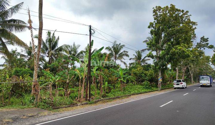 Super Spacious for Agriculture or Livestock in Antosari Tabanan 1