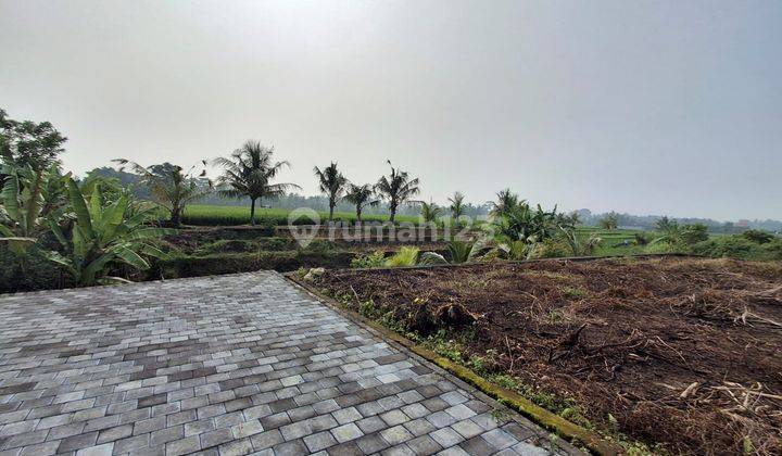 Tanah View Sawah Rasa Ubud di Utara Kota Tabanan Jl Batukaru 1