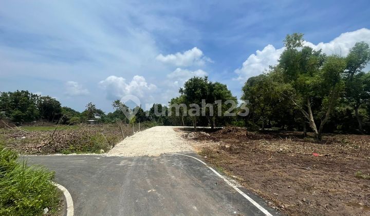 Tanah Kavling Dekat Kampus Udayana Jimbaran Badung Tanah Kavling Dekat Kampus Udayana Jimbaran Badung