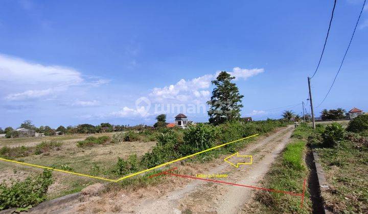 Tanah Kavling View Sawah Abadi Dan Pantai Tulikup Gianyar 1