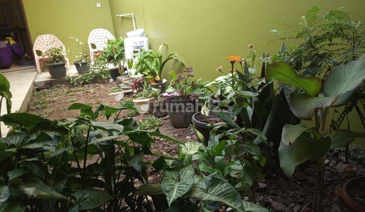 Dijual Rumah Cantik Siap Huni Jagakarsa Jakarta Selatan  2