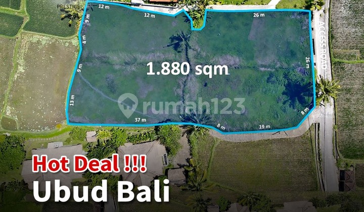 TERMURAH DI UBUD	 DIJUAL TANAH PREMIUM SEBELAH BENNU HOUSE BALI LINGKUNGAN TENANG VIEW HIJAU 