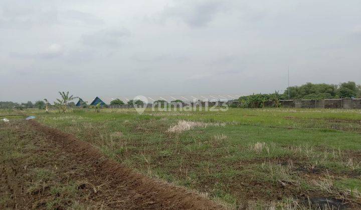 Dijual Tanah Peruntukan Perumahan Kutorejo Mojokerto 2