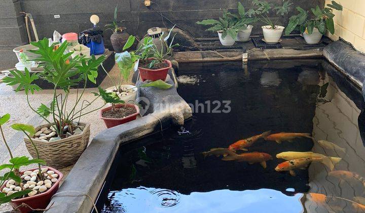 Rumah Ciland Utama Interior + Pool Hanya 4man?! Murah! Sblh Gwalk 2