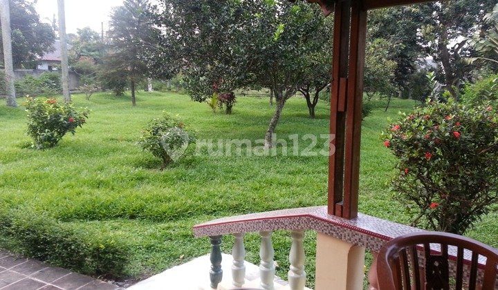 Rumah Dengan Kolam Renang Dan Halaman Luas di Cibubur  2