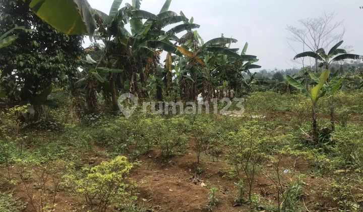 Tanah di Pancawati, Caringin Bogor, Cocok untuk Villa Tanah di Pancawati, Caringin Bogor, Cocok untuk Villa