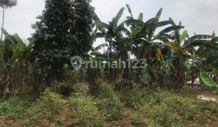 Tanah di Pancawati, Caringin Bogor, Cocok untuk Villa