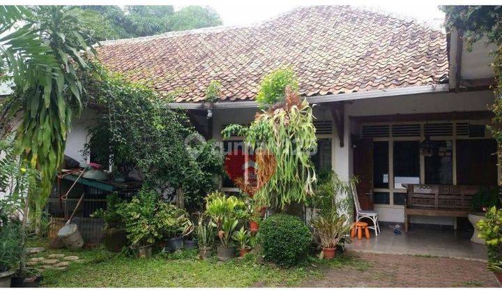 Rumah Asri di Jl Haji Nawi, Cilandak, Jakarta Selatan 2