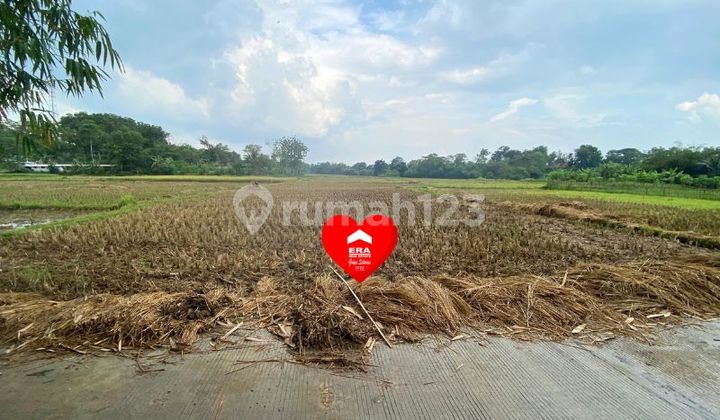 Tanah 800m2 di Jagabita Parung Panjang Bogor Tanah 800m2 di Jagabita Parung Panjang Bogor