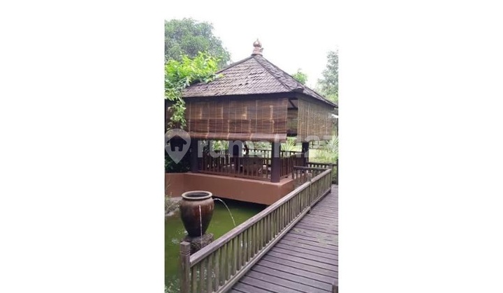 Dijual Rumah Plus Kebun Buah di Ciampea, Bogor. 4