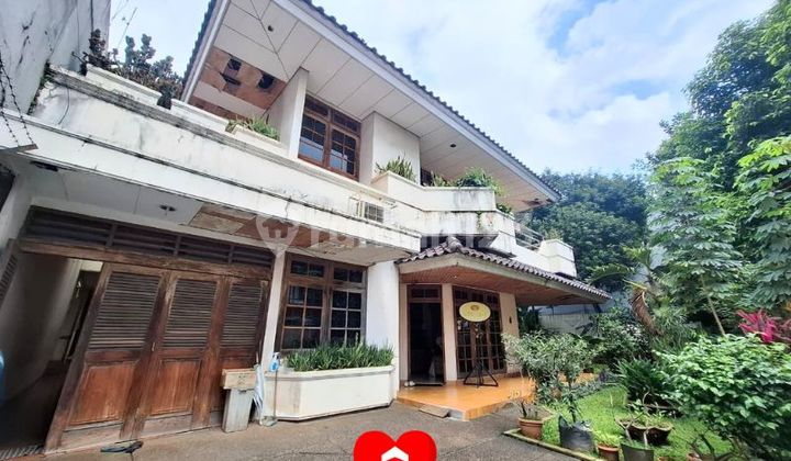 Rumah Asri di Jl Mpr Cilandak Jakarta Selatan 1
