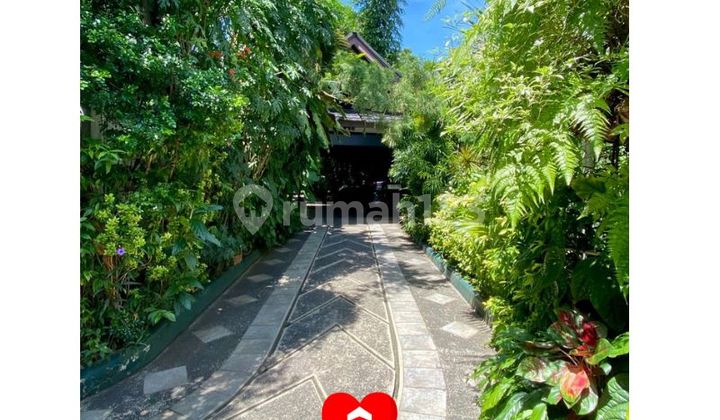 Rumah Bagus dan Asri di Jl Matraman, Menteng, Jakarta Pusat