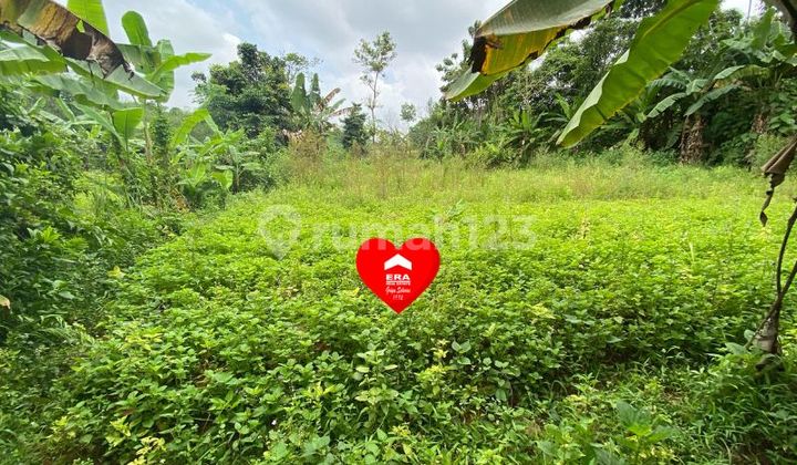 Tanah di Kabasiran Parung Panjang Bogor Tanah di Kabasiran Parung Panjang Bogor