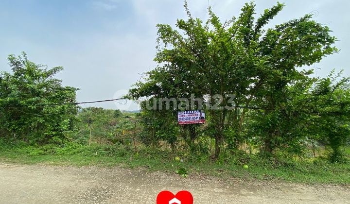 Tanah 1010 m2 di Cikuda Parung Panjang, Bogor