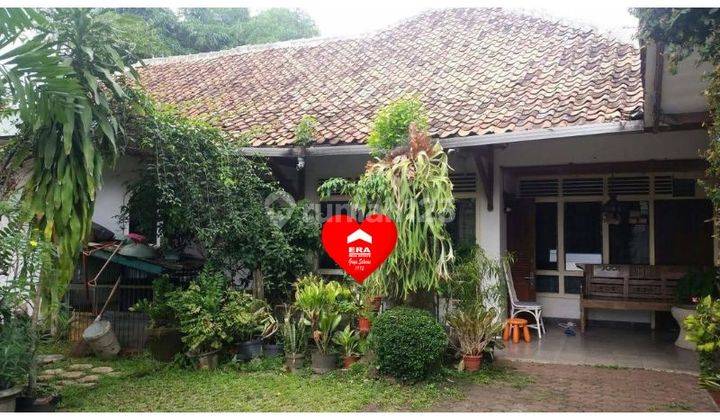 Rumah Asri di Jl Haji Nawi, Cilandak, Jakarta Selatan 1