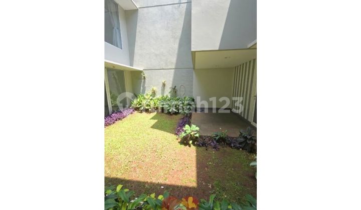 Rumah Sewa ada Kolam Renang dan Rooftop di Menteng Jakarta 2