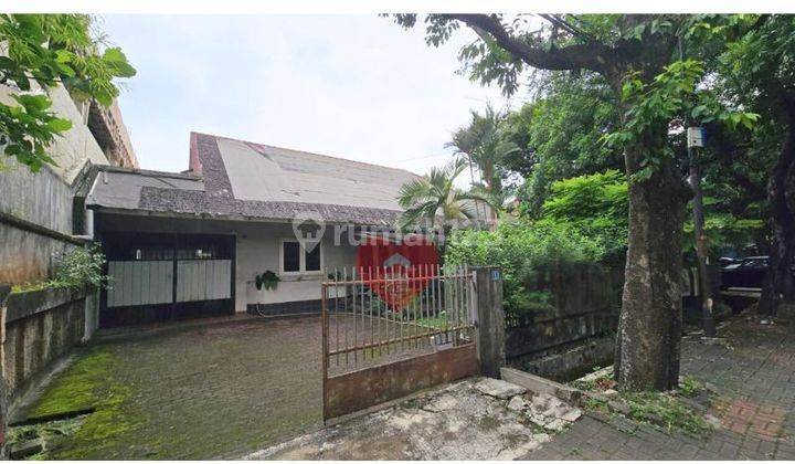 Rumah Asri di Hang Lekiu, Kebayoran Baru, Jakarta Selatan 2