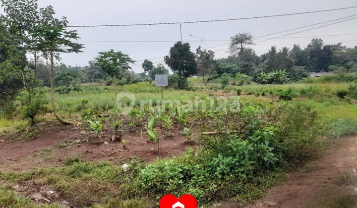 Land Area 2900 in Babakan Village, Tenjo, Bogor.