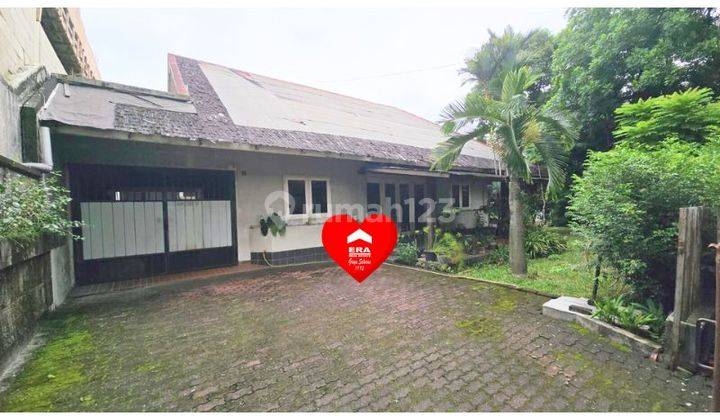 Rumah Asri di Hang Lekiu, Kebayoran Baru, Jakarta Selatan 1