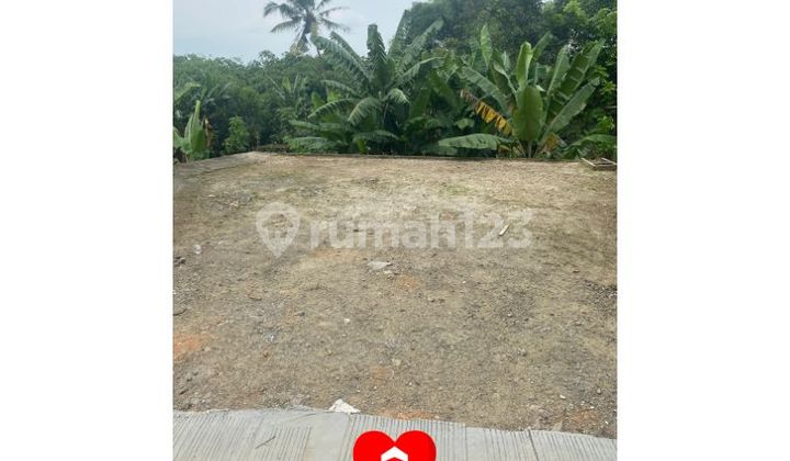Tanah di Jl Cibunar Parung Panjang, Bogor.