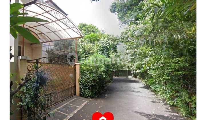 Nice and Green House in Kuningan, Setiabudi, South Jakarta