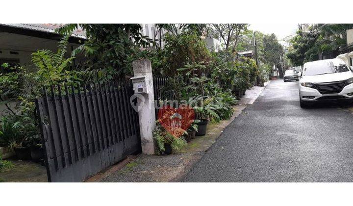 Rumah Asri di Jl Ciniru Kebayoran Baru, Jakarta Selatan 2