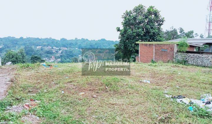Tanah Matang di Mainroad Cocok Untuk Cluster 1