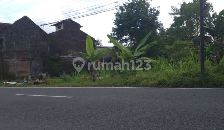 Tanah Jalan Pandanaran Kaliurang Dekat Uii, Cocok Bangun Usaha 2