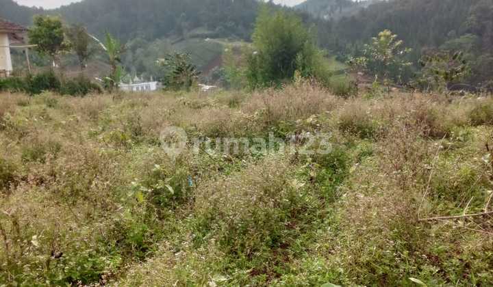 Tanah Eksklusif di Dago, Langka! Dekat Taman Hutan Raya Bandung