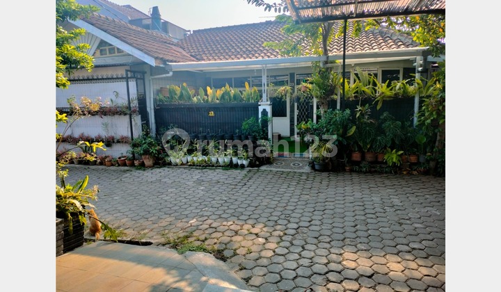 Disewakan Rumah Bagus di Antapani Tengah Kota Bandung Disewakan Rumah Bagus di Antapani Tengah Kota Bandung