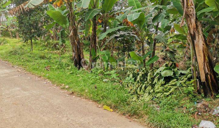Tanah Dijual Bogor Village ada mata airnya di Bogor

 2