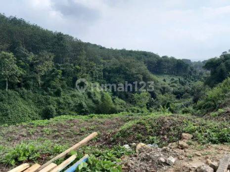 Tanah Murah 6000 M2 SHM Pinggir Jalan Cikalong Wetan 1