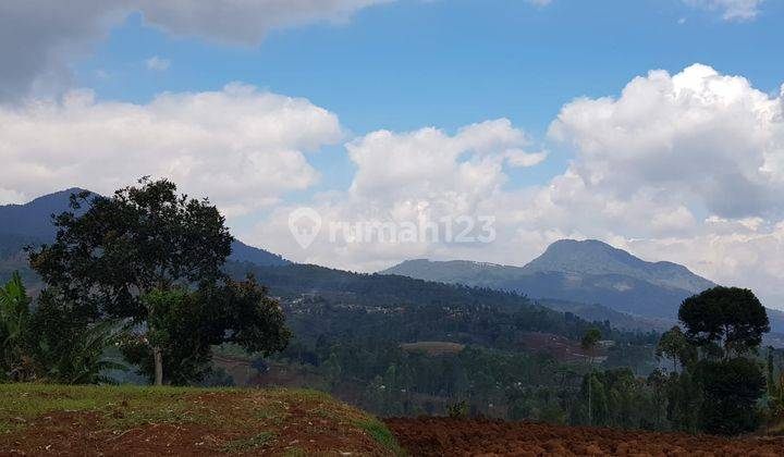 Tanah Murah Cikadut SHM 11.000 M2 Cimenyan Bandung 1