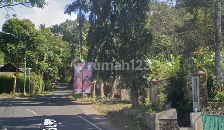 Bukit dengan Pemandangan Ijen Terindah SHM 12.000M2 Bukit Licin Banyuwangi