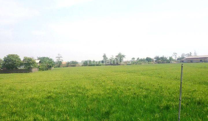 Disewakan Tanah Lokasi Strategis di Pantura Kaliwungu Kendal (12.303-AUD)  2