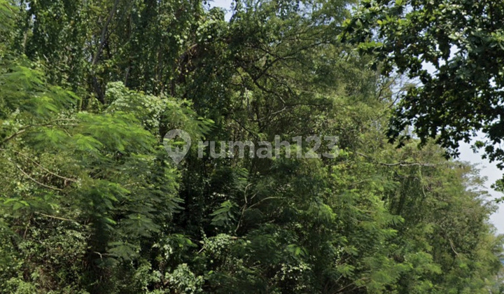 Dijual Tanah Gombel Semarang Atas Harga di Bawah NJOP dan Aprisial Bank.good Inves 2