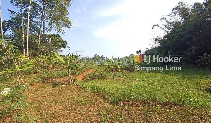 Dijual Cepat Tanah Kebun Gunungpati 11.334 lis  1