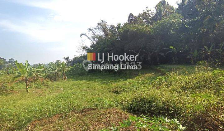 Dijual Cepat Tanah Kebun Gunungpati 11.334 lis  2